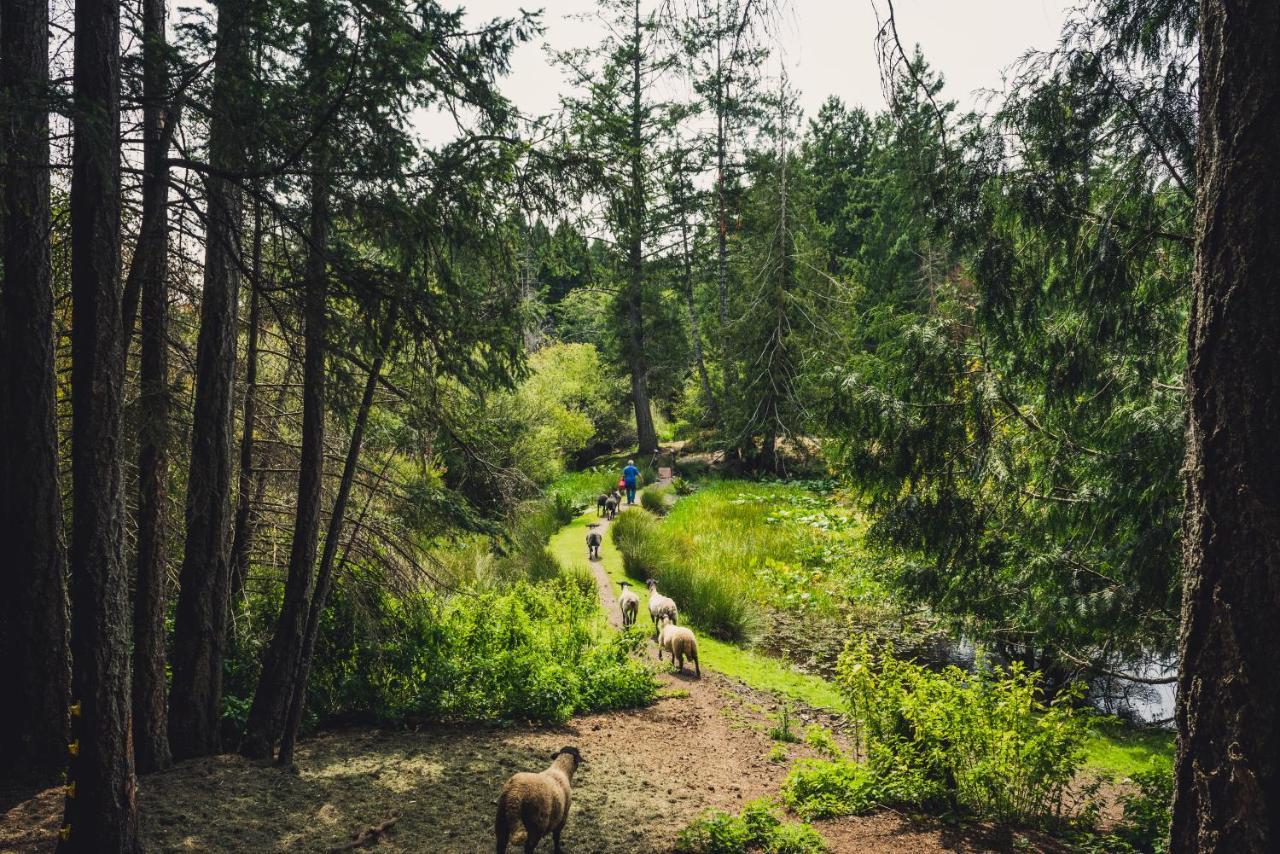 Misty Meadows B&B Лангфорд Екстериор снимка