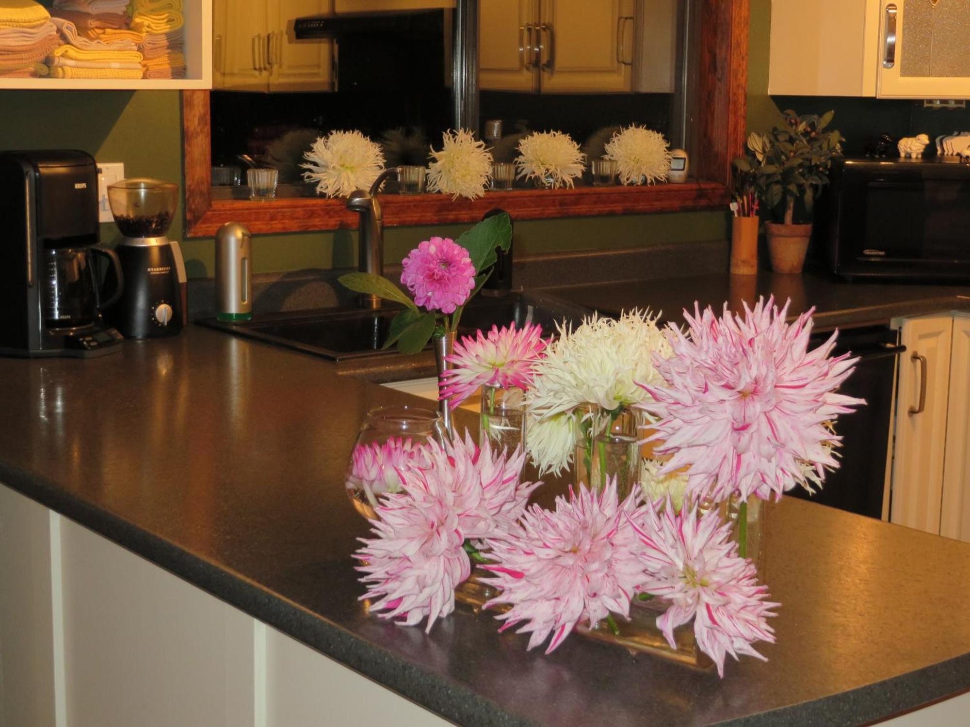 Misty Meadows B&B Лангфорд Екстериор снимка