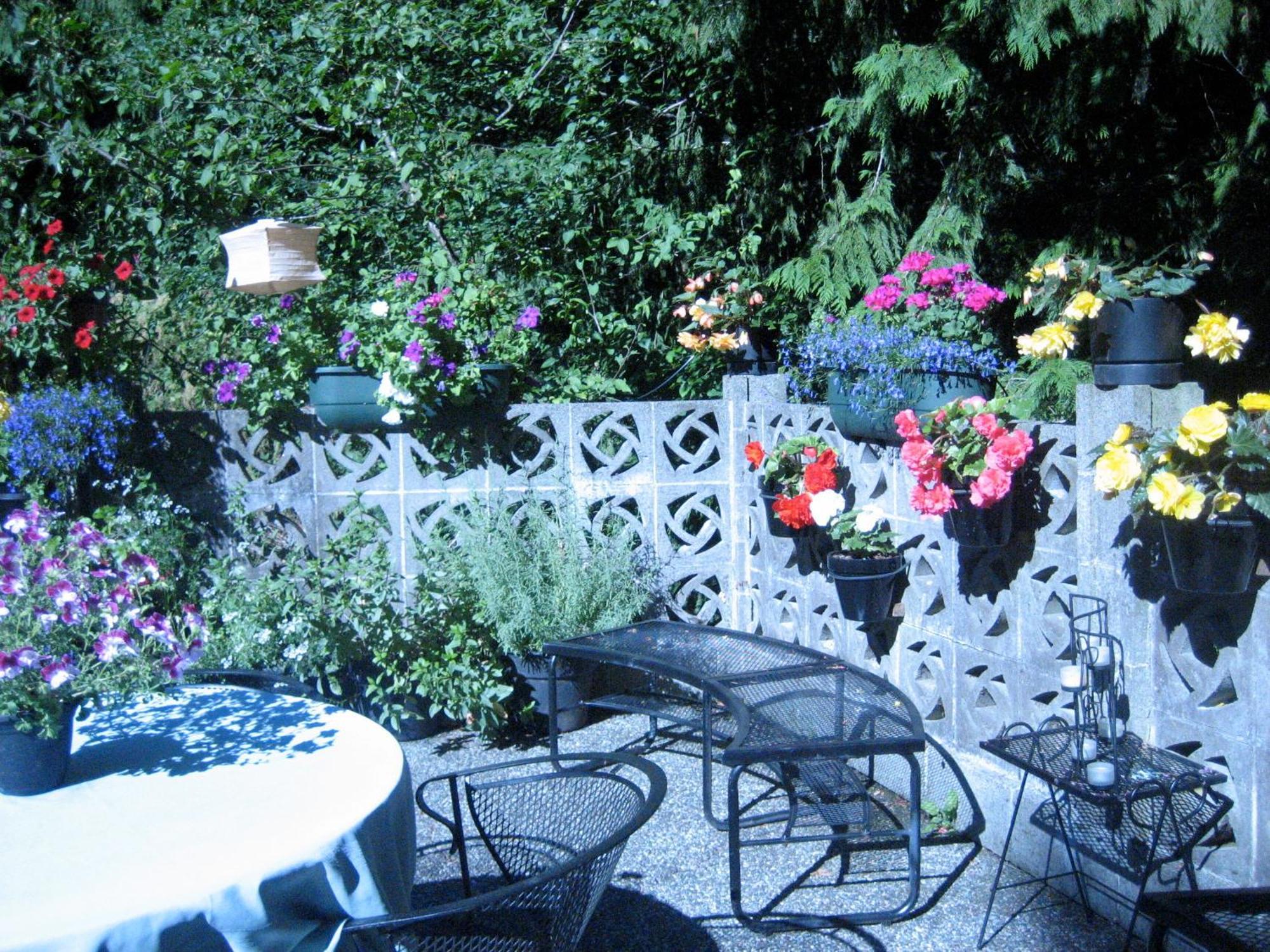 Misty Meadows B&B Лангфорд Екстериор снимка