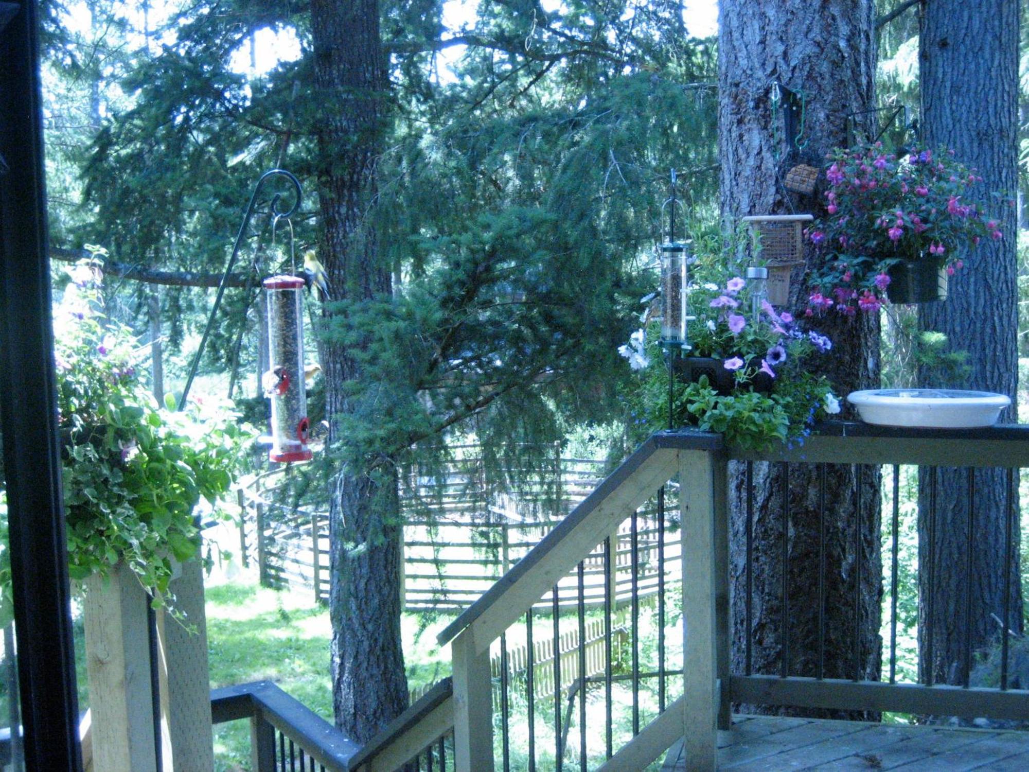 Misty Meadows B&B Лангфорд Екстериор снимка