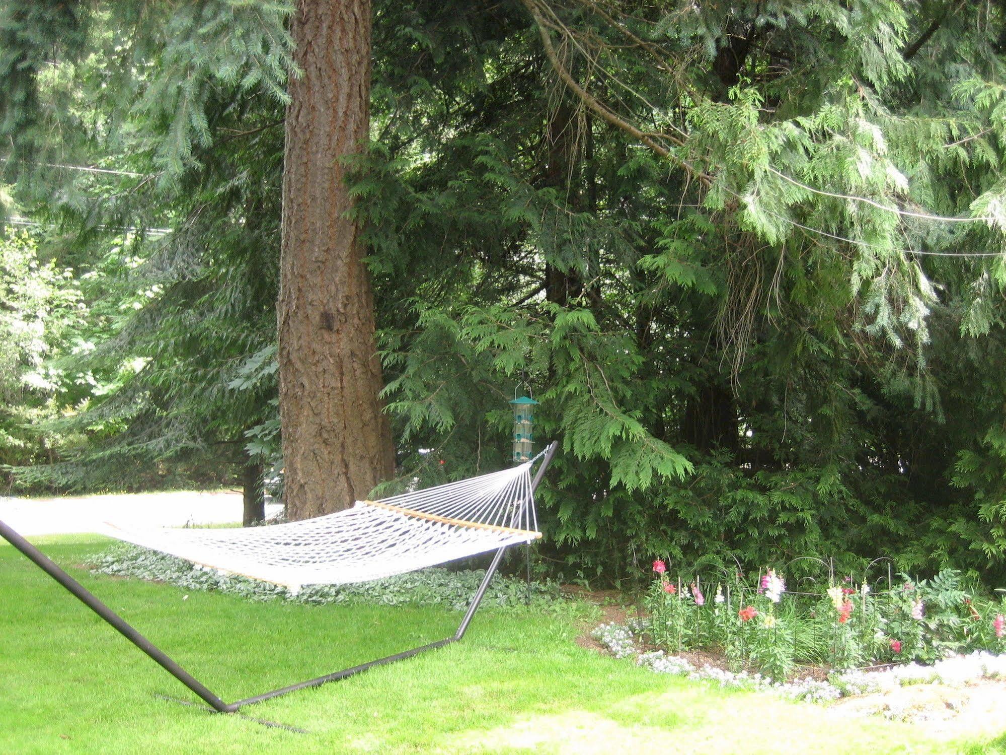 Misty Meadows B&B Лангфорд Екстериор снимка