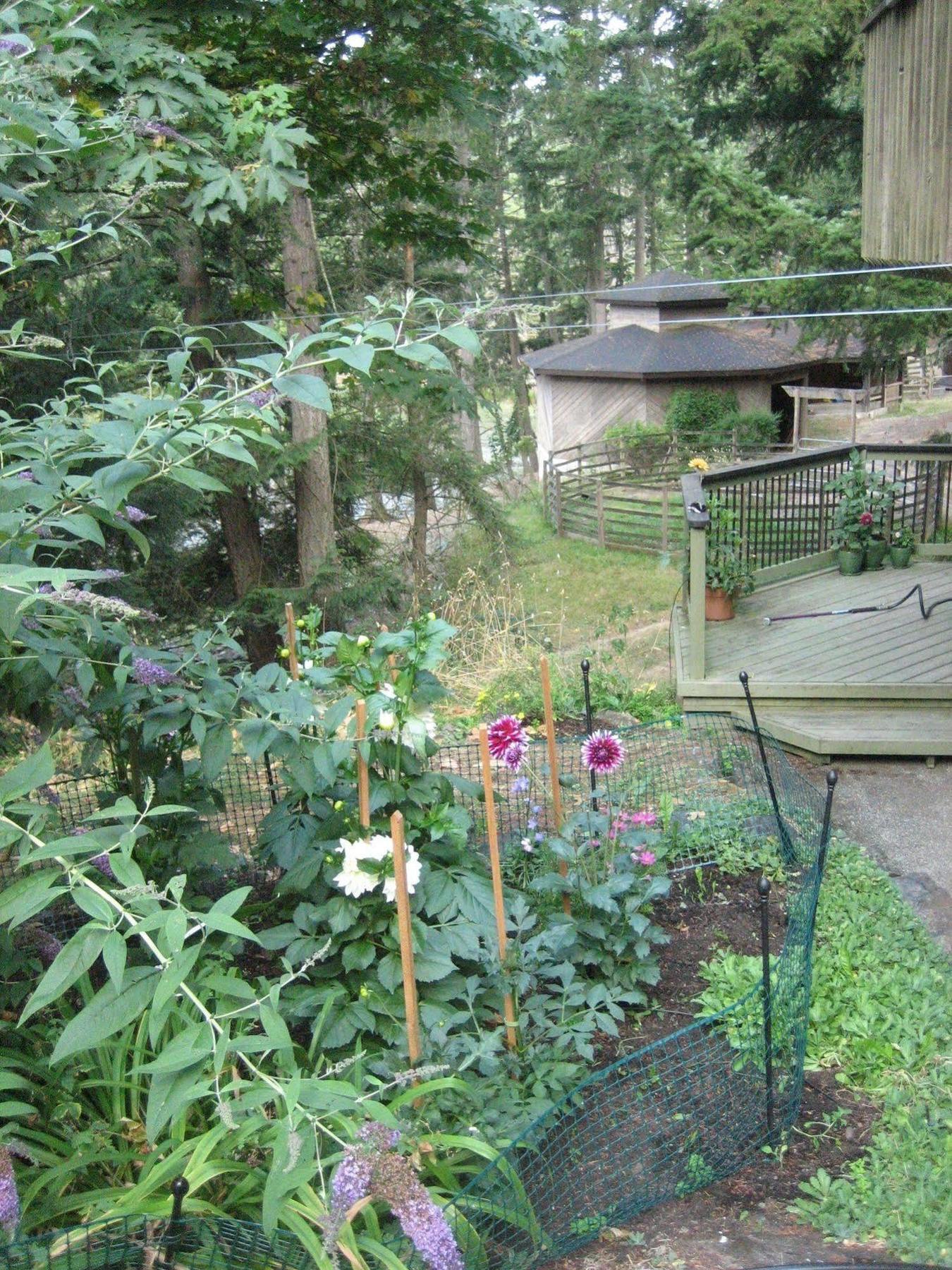 Misty Meadows B&B Лангфорд Екстериор снимка