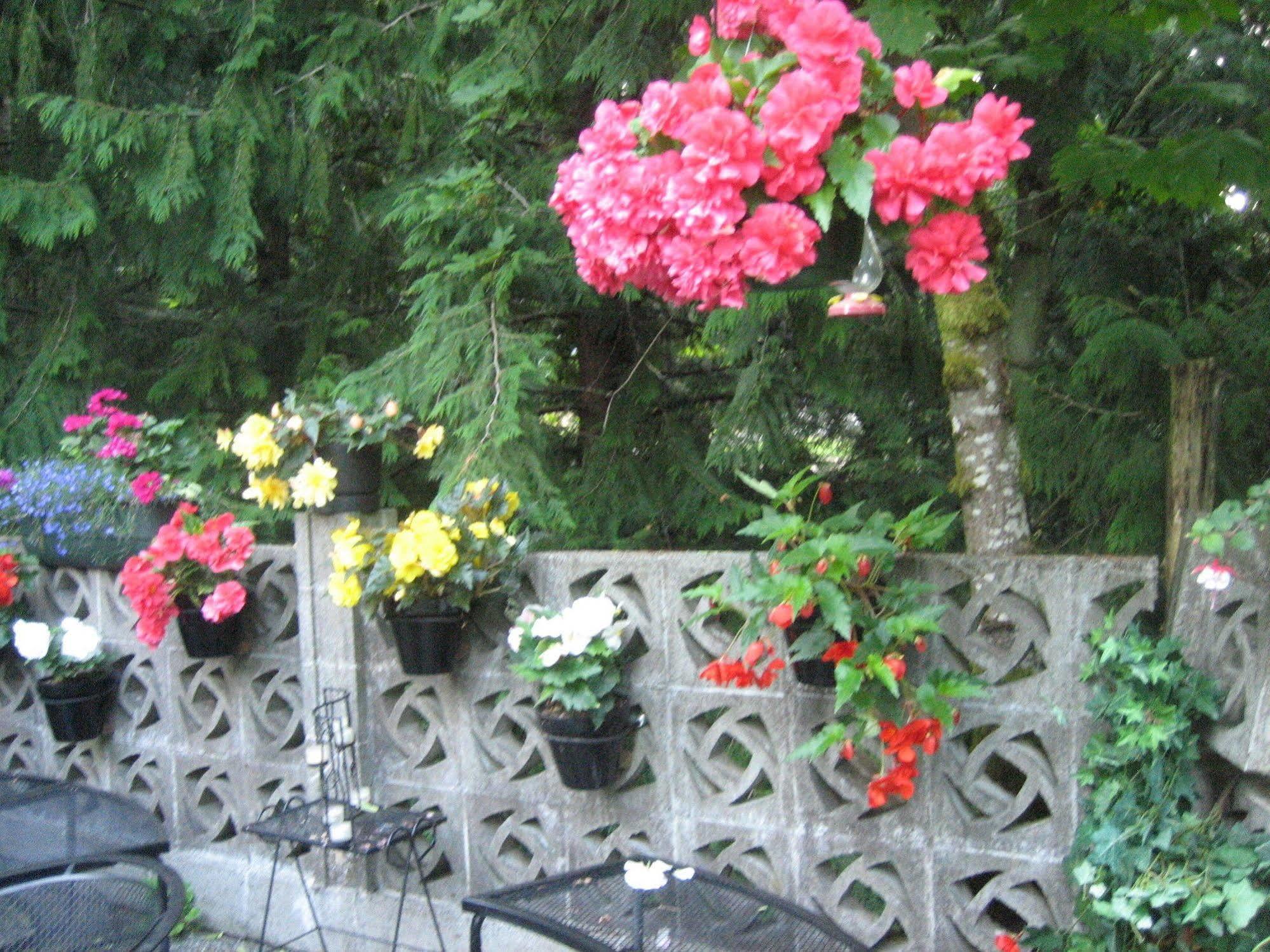 Misty Meadows B&B Лангфорд Екстериор снимка